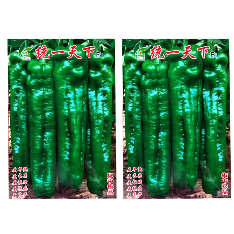 统一天下大果牛角椒种子早熟粗长皮薄微辣肉脆渣连续坐果强