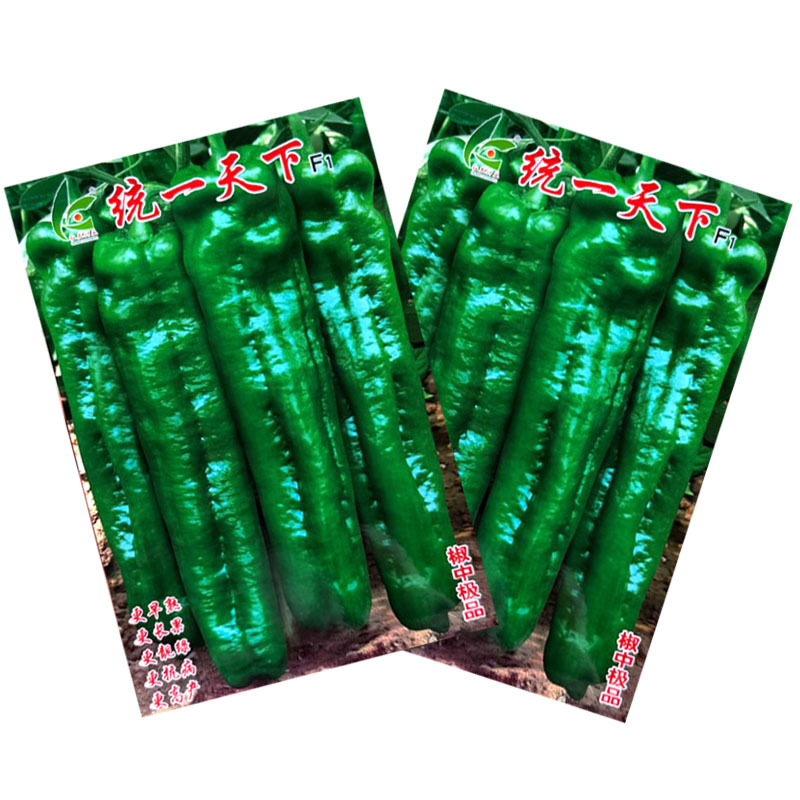 统一天下大果牛角椒种子早熟粗长皮薄微辣肉脆渣连续坐果强