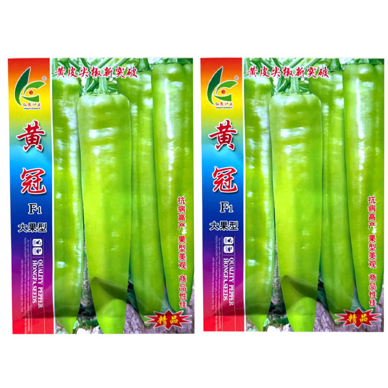 黄冠黄皮尖椒种子早熟大果型粗长牛角椒种籽抗病辣味适中