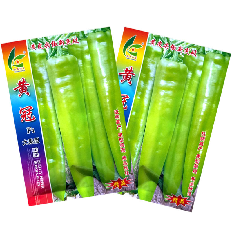 黄冠黄皮尖椒种子早熟大果型粗长牛角椒种籽抗病辣味适中