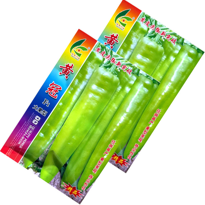 黄冠黄皮尖椒种子早熟大果型粗长牛角椒种籽抗病辣味适中