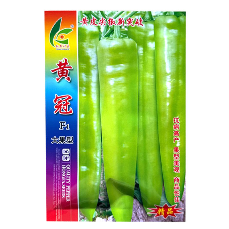 黄冠黄皮尖椒种子早熟大果型粗长牛角椒种籽抗病辣味适中