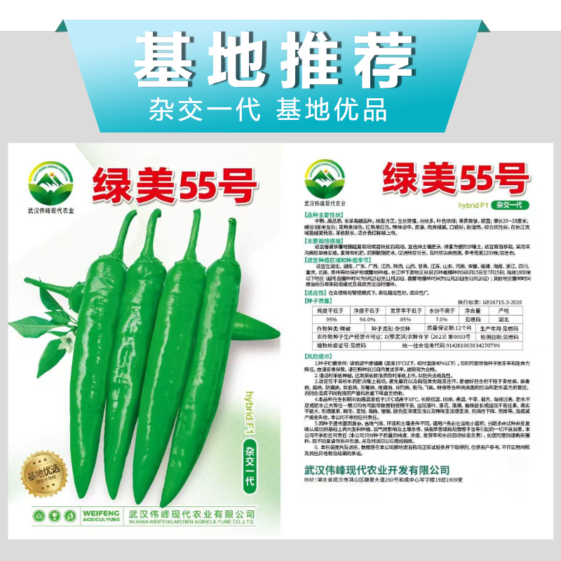 【绿美55号】薄皮羊角椒皱皮辣椒种子基地优选越夏延秋种植