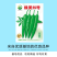 【绿美55号】薄皮羊角椒皱皮辣椒种子基地优选越夏延秋种植