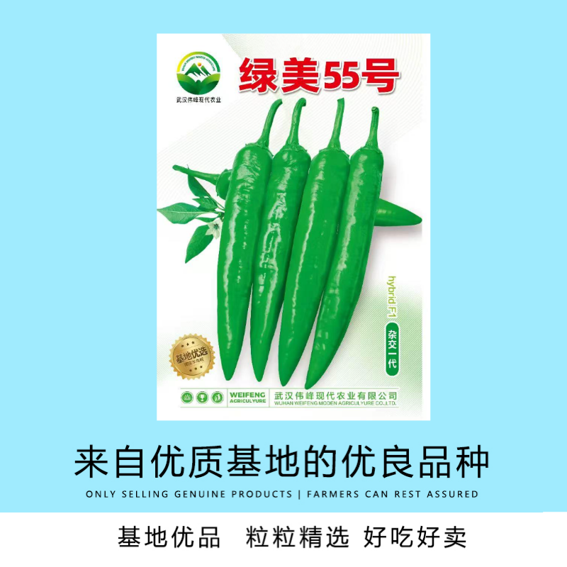 【绿美55号】薄皮羊角椒皱皮辣椒种子基地优选越夏延秋种植