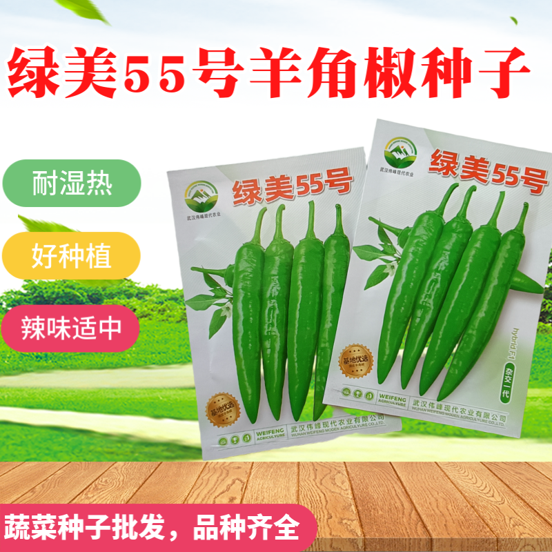 【绿美55号】薄皮羊角椒皱皮辣椒种子基地优选越夏延秋种植