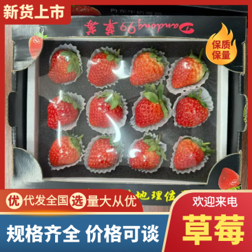 精品草莓辽宁草莓大量供应品质保证全国发货