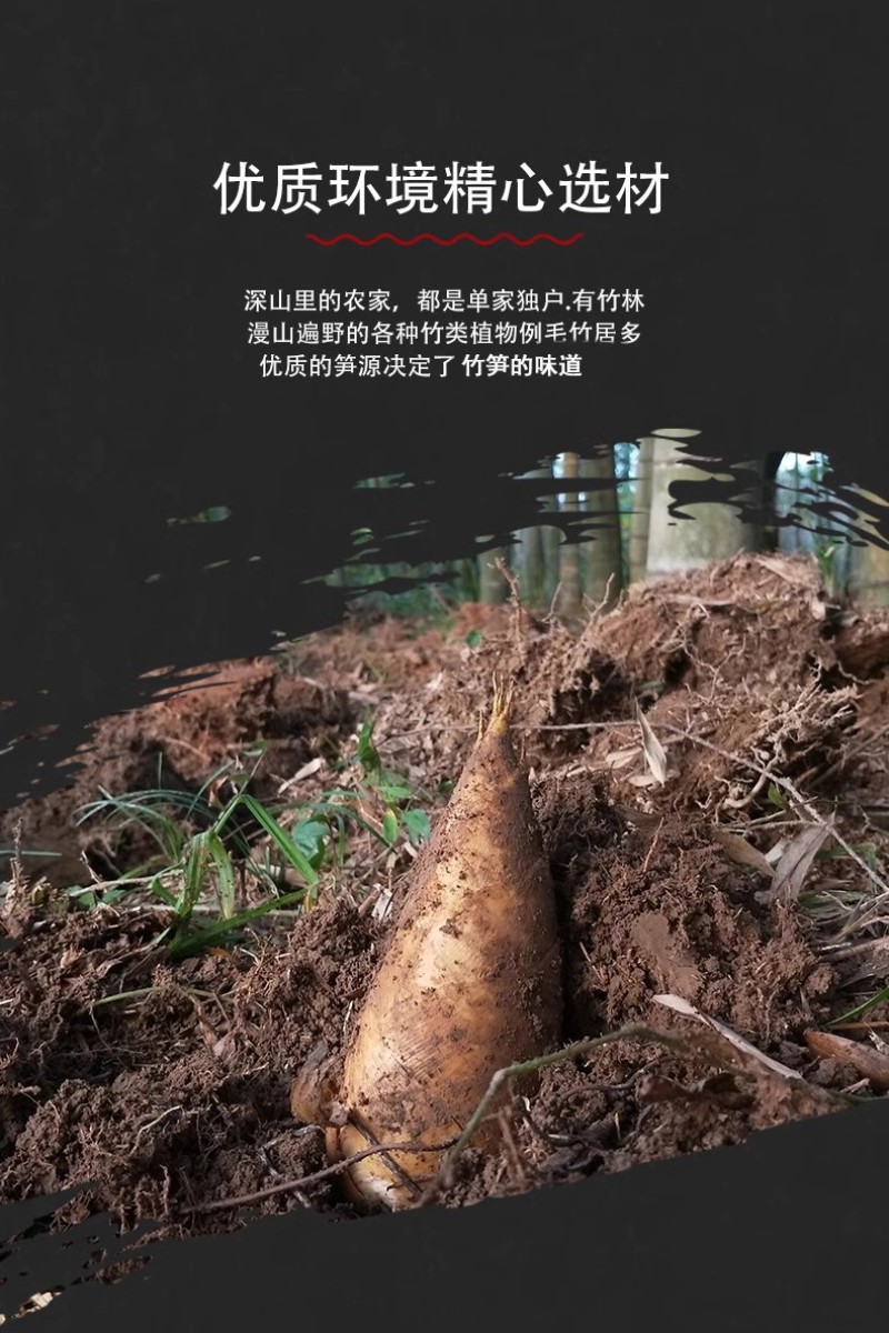 源头直发福建冬笋桶装笋食品厂原料餐饮配送商用清脆爽口