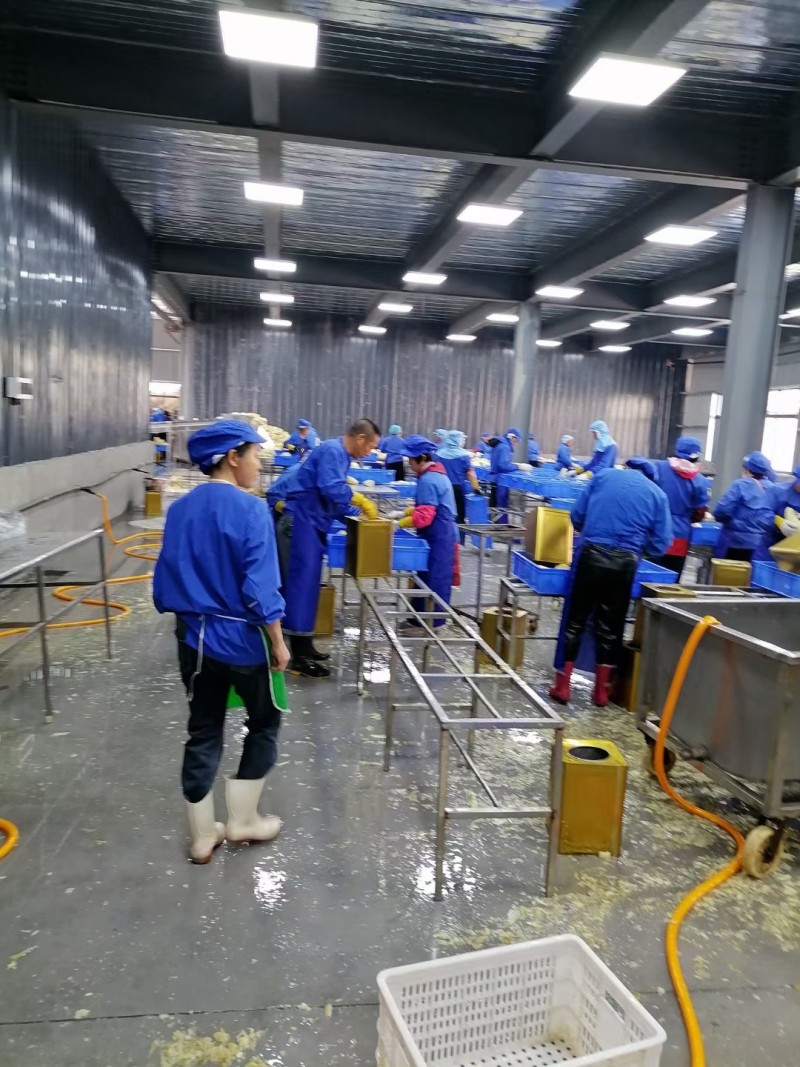 源头直发福建冬笋桶装笋食品厂原料餐饮配送商用清脆爽口