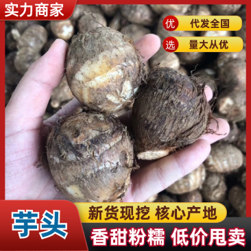 芋头山东豆包芋头海量货源支持视频和实地看货量大从优