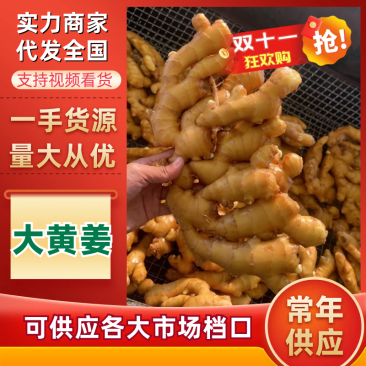 【山东大黄姜】水洗生姜/鲜生姜现货供应，保质保量代存代发