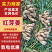 红芽姜产地一手货源/规格齐全/品质保证/实力代办代发全国