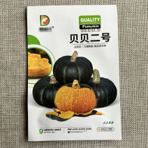 贝贝二号小南瓜种子早熟雌花多易坐果肉厚基地品种