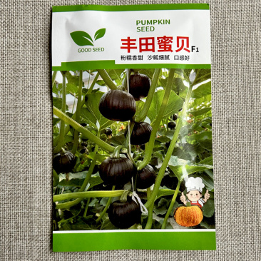 丰田蜜贝粉糯香甜沙瓤细腻口感好产量高贝贝瓜基地品种