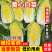 实力货源基地发货黄心白菜规格齐全对接市场