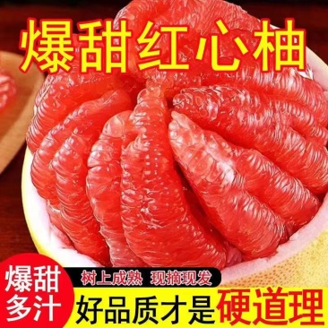 【正宗红柚】柚子红心蜜柚新鲜水果福建平和应季老树薄皮红柚