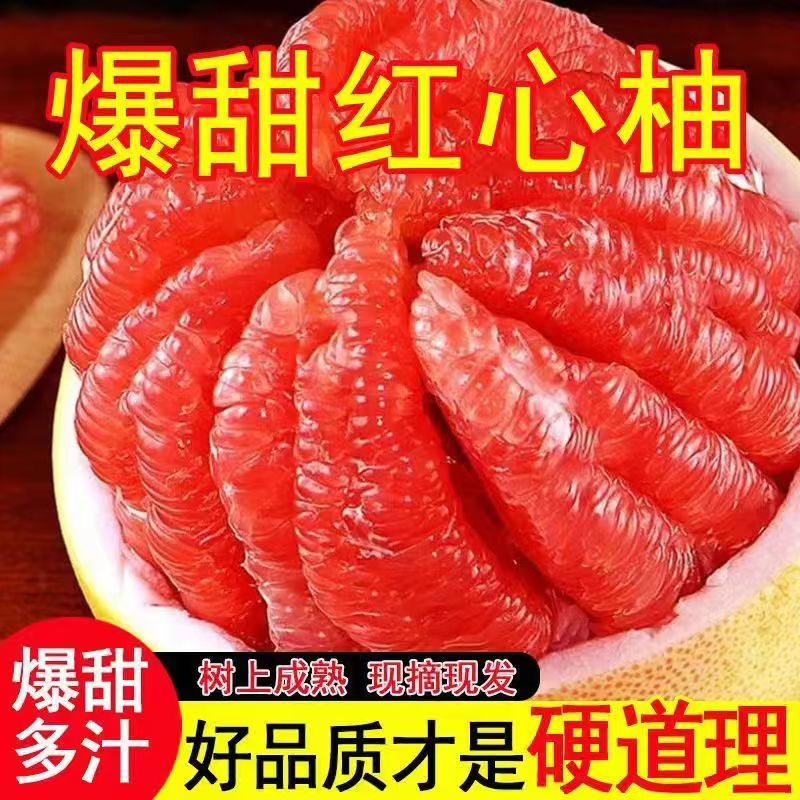 【正宗红柚】柚子红心蜜柚新鲜水果福建平和应季老树薄皮红柚