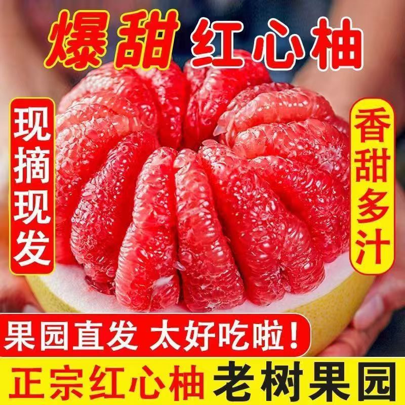 【正宗红柚】柚子红心蜜柚新鲜水果福建平和应季老树薄皮红柚
