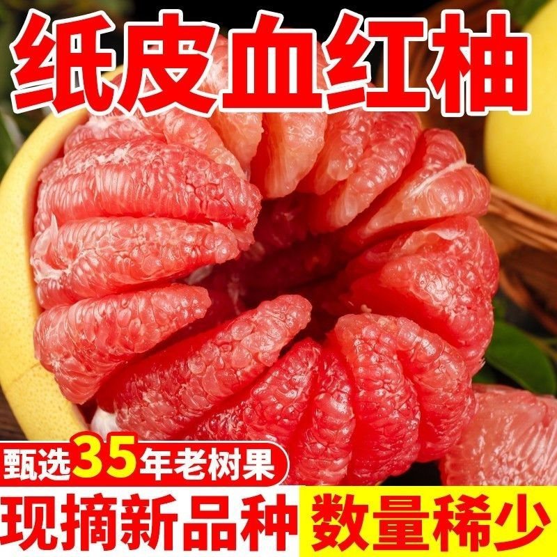 【正宗红柚】柚子红心蜜柚新鲜水果福建平和应季老树薄皮红柚