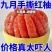【正宗红柚】柚子红心蜜柚新鲜水果福建平和应季老树薄皮红柚