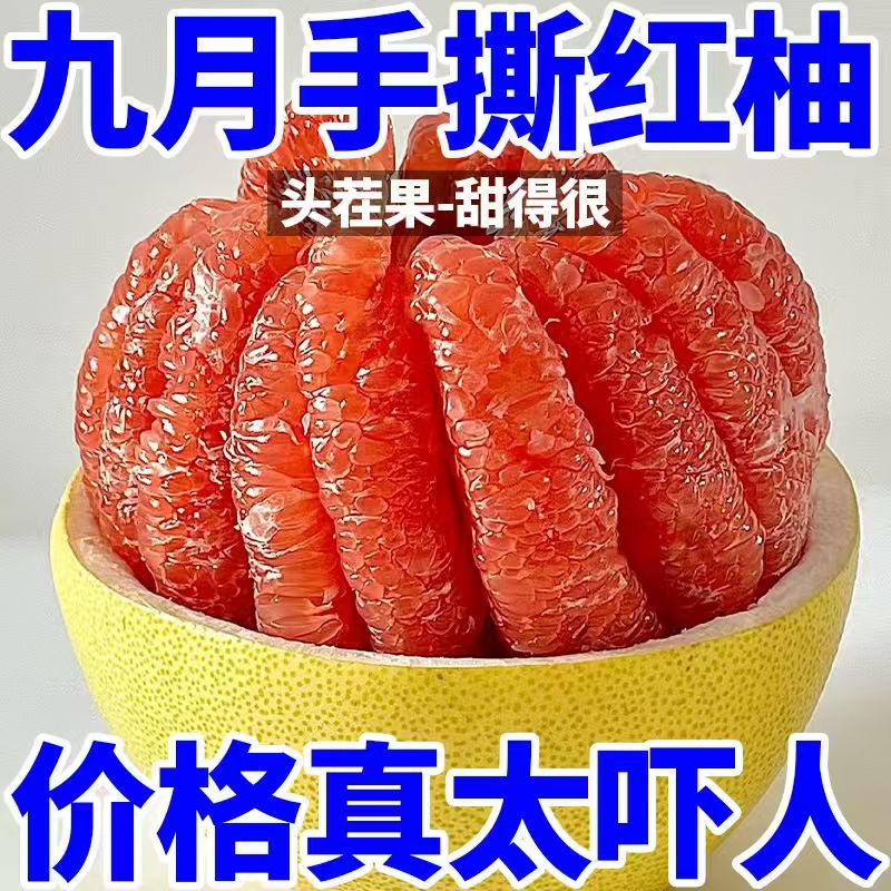 【正宗红柚】柚子红心蜜柚新鲜水果福建平和应季老树薄皮红柚