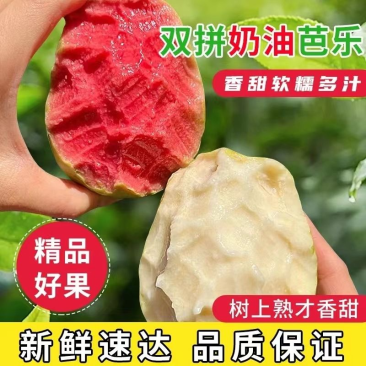 软糯奶油白芭乐冰淇淋芭乐当季新鲜水果红软籽番石榴双拼整箱