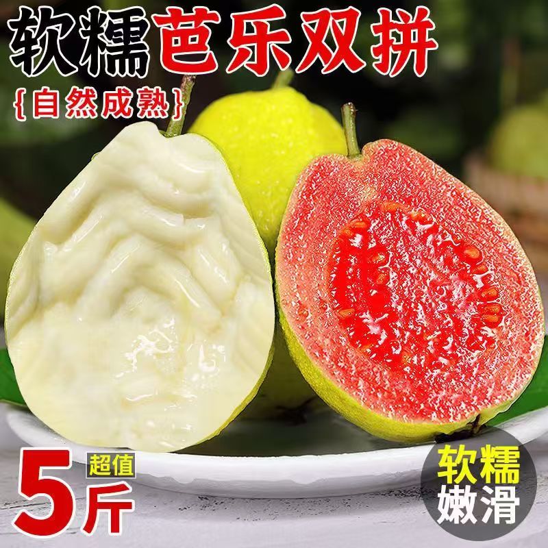 软糯奶油白芭乐冰淇淋芭乐当季新鲜水果红软籽番石榴双拼整箱