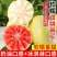 软糯奶油白芭乐冰淇淋芭乐当季新鲜水果红软籽番石榴双拼整箱