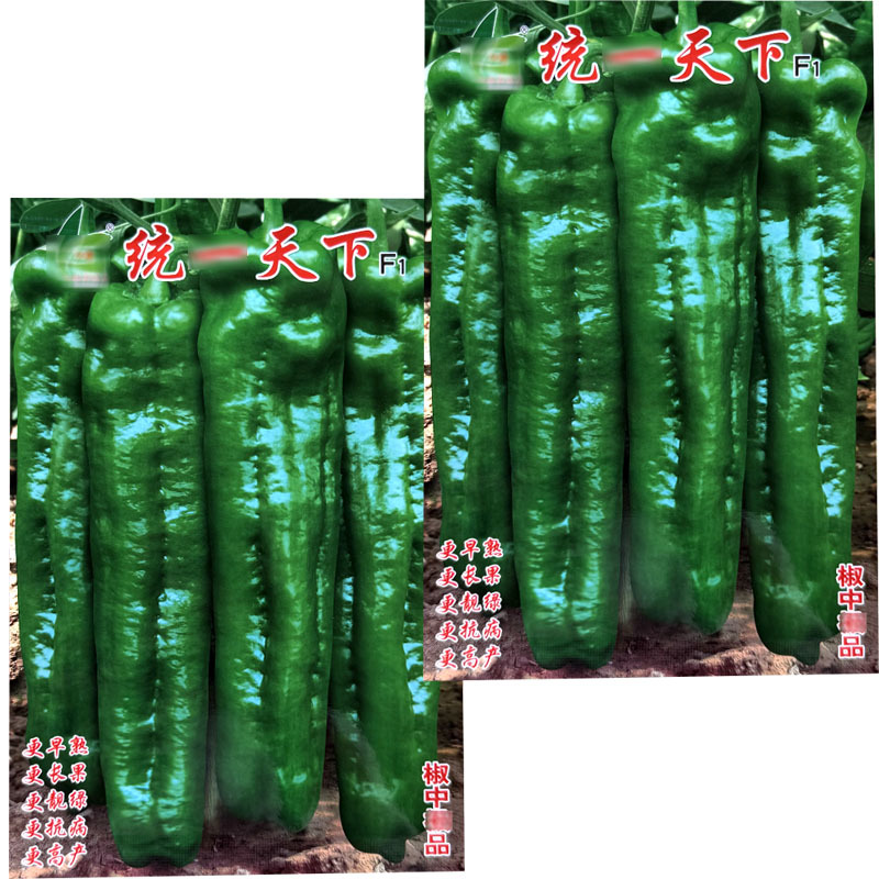 牛角椒种子长大果牛角天下椒早熟果粗长青果微辣肉脆无渣