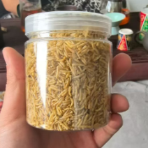 五谷虫昆虫蛋白鱼虾高蛋白水产饲料大量现货产地直发
