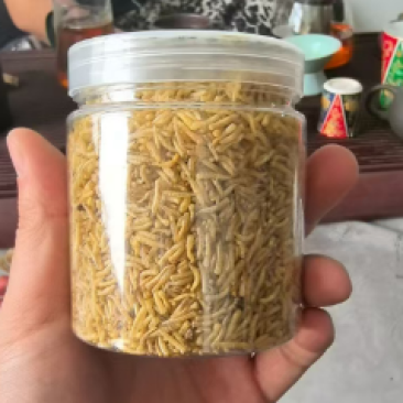 五谷虫昆虫蛋白鱼虾高蛋白水产饲料大量现货产地直发