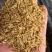 五谷虫昆虫蛋白鱼虾高蛋白水产饲料大量现货产地直发