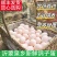鸽子蛋杂粮喂养新鲜农家鸽子蛋现捡先发欢迎下单