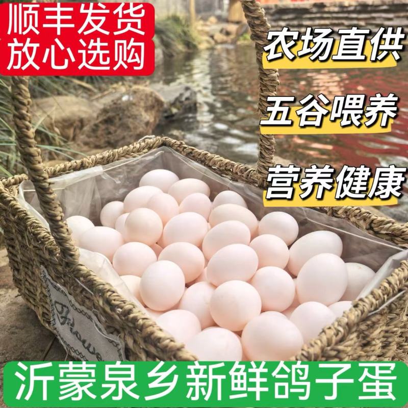 鸽子蛋杂粮喂养新鲜农家鸽子蛋现捡先发欢迎下单