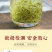 茶叶绿茶碧螺春高山绿茶新茶叶浓香型云雾绿茶炒香清香型