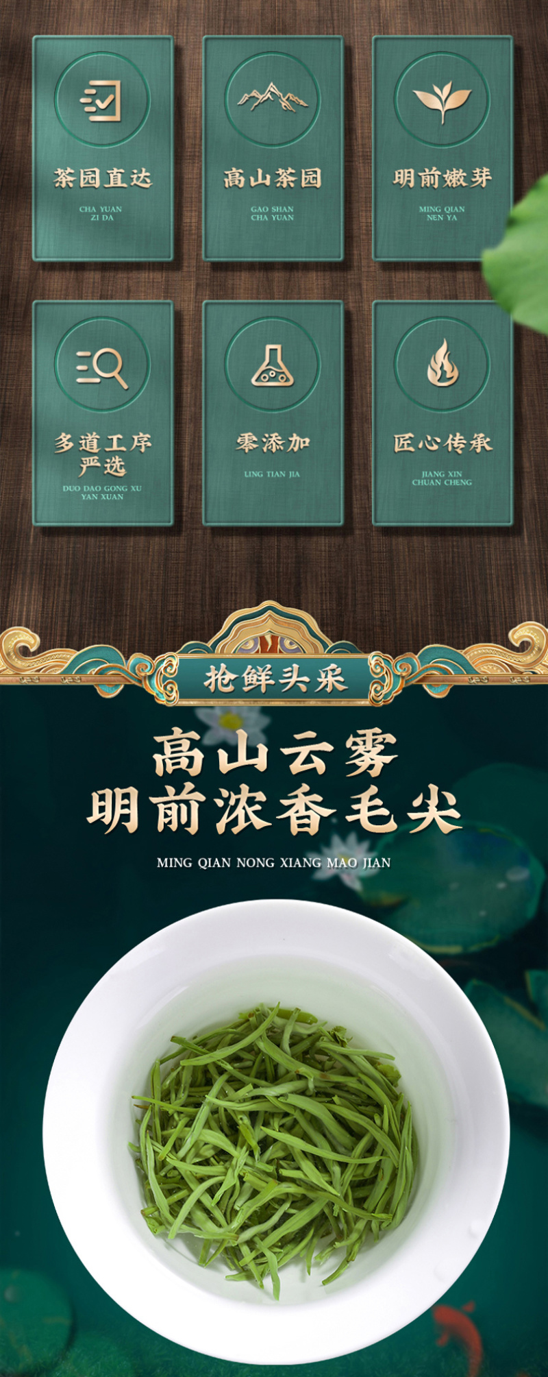毛尖茶叶新茶明前春茶浓香型炒青毛尖绿茶嫩芽茶叶罐装