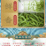 毛尖茶叶新茶明前春茶浓香型炒青毛尖绿茶嫩芽茶叶罐装