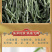 毛尖茶叶新茶明前春茶浓香型炒青毛尖绿茶嫩芽茶叶罐装