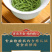 毛尖茶叶新茶明前春茶浓香型炒青毛尖绿茶嫩芽茶叶罐装