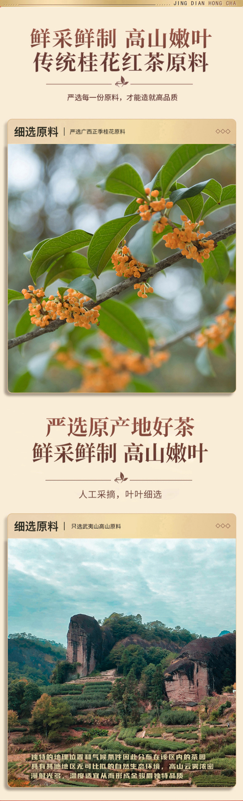 2026桂花红茶500克桂花金骏眉罐装新茶叶福建高山红茶