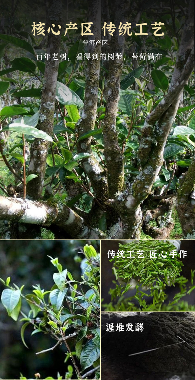 碎银子普洱茶茶化石茶叶熟茶十年陈藏云南古树纯料500g