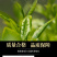 陈皮白茶正宗新会陈皮福鼎老白茶贡眉寿眉小圆片便携饼干茶叶