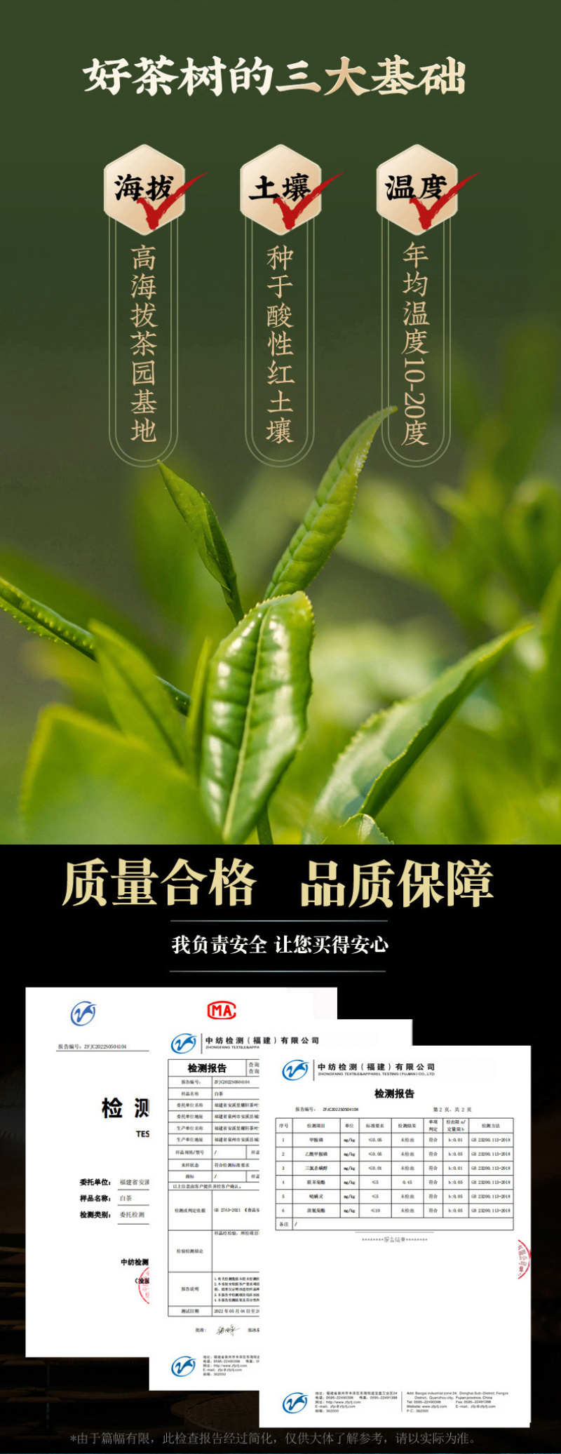 陈皮白茶正宗新会陈皮福鼎老白茶贡眉寿眉小圆片便携饼干茶叶