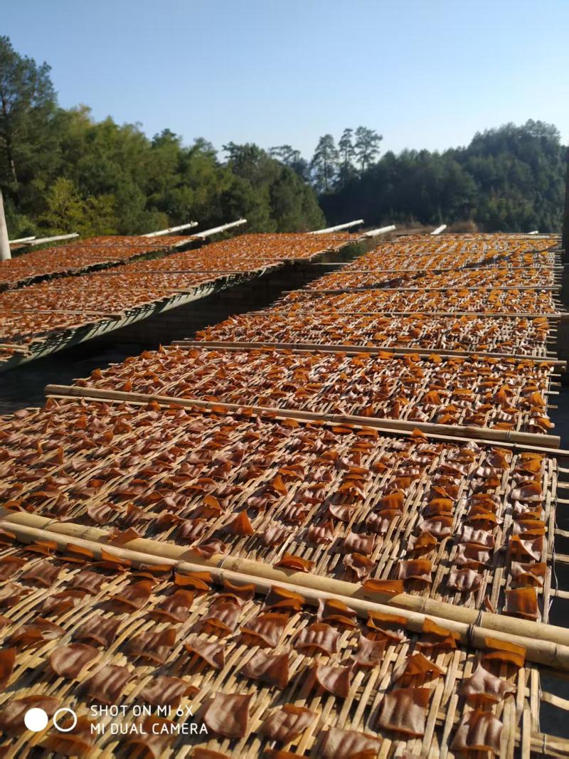 苦槠干品质好价格低诚信经营可对接各大电商商超等