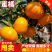 高山蜜桔/肉质细腻/一手货源产地直发质量保证全国发货