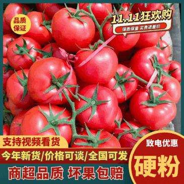 【优质货源推荐】宁夏硬粉西红柿产地直供质量保证