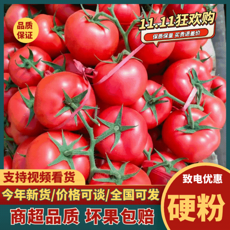【优质货源推荐】宁夏硬粉西红柿产地直供质量保证