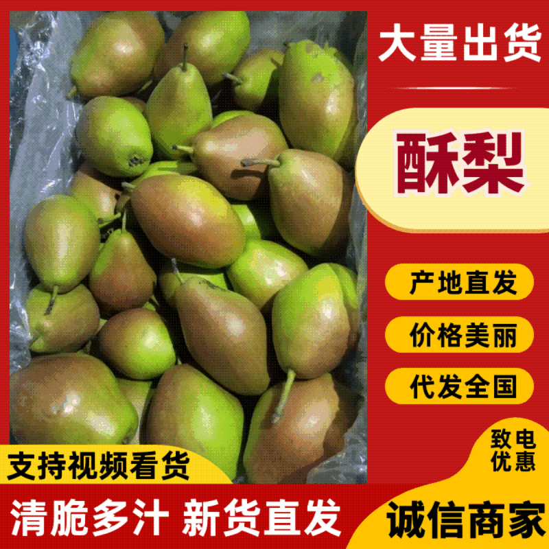 苏翠1号脆甜多汁梨中爱马仕