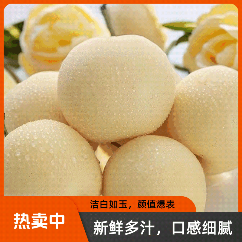 河北赵县皇冠果大量有货，质量保证/价格合理/对接超市