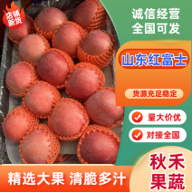山东红富士苹果一手货源/规格齐全/条纹果/片红果/全红果